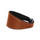  Ace Traditional Leather Dog Collar lined with super SOFT leather ::TAN with BLACK LINING::